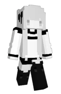 Front of ErickkBr's skin
