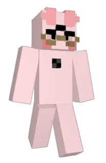 Front of V33rm1n's skin
