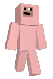 242343 Minecraft avatar full body