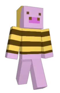 DvorZir's Minecraft skin