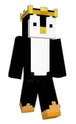 Slim Minecraft skin