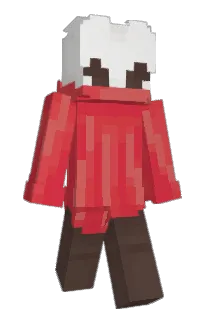Front of Minecraft skin