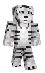 Minecraft skin — Classic model