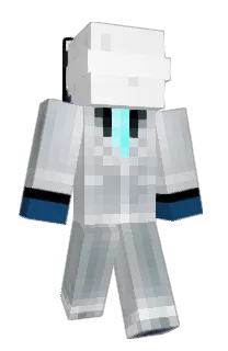 Front of WithBank's skin