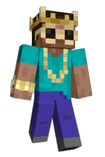 245er Minecraft avatar full body