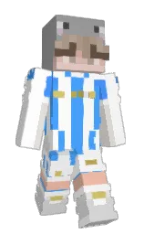 Slim Minecraft skin