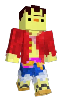 Front of majoses's skin