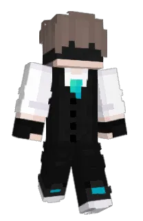 Front of T10708's skin