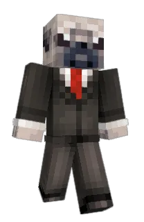 Front of AXD210's skin