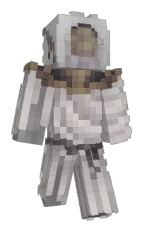 Front of spinzir's skin