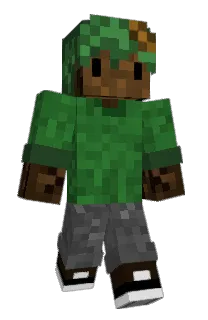 Front of Jngo's skin