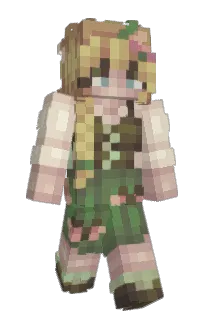 Front of shanyenah's skin