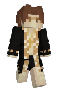 Front of 4IPSER's skin