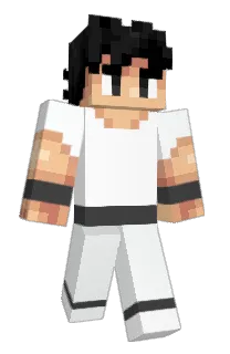 Front of fall008's skin