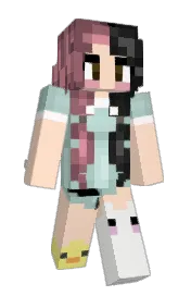 Skin preview