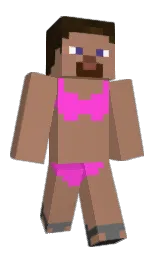 steve6145's Minecraft skin wearing the Pan cape