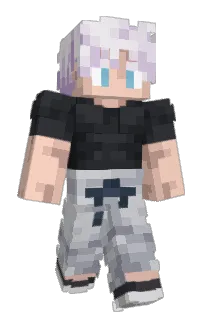 Front of S1GAR's skin