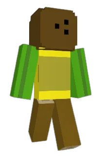 24Swe Minecraft avatar full body