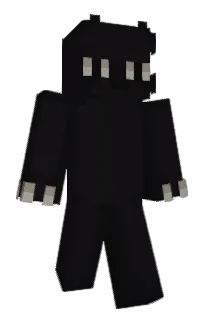 Front of wiidog's skin