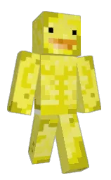 Minecraft skin — Classic model