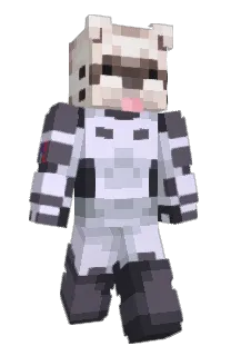 Front of IChien_PaoI's skin
