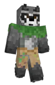 Skin preview