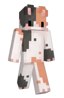 Front of i7nxv's skin