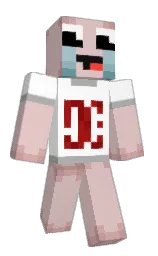 Minecraft skin — Classic model