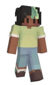 Skin preview