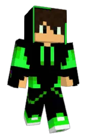 Skin preview
