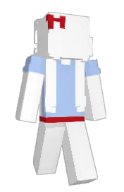 Skin preview
