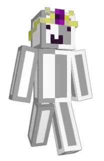 Front of Zeration's skin