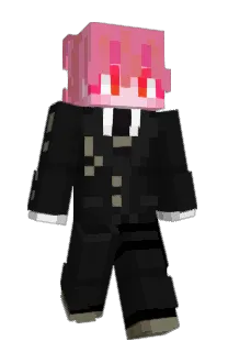 Front of stixpoho's skin