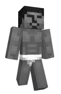 Front of SG_zoro's skin