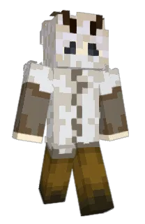 Front of bluuishark's skin