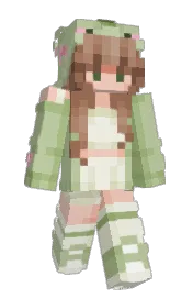 Skin preview
