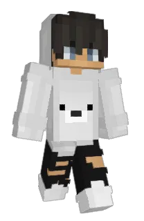 witolin12's Minecraft skin