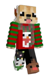 Front of DzAgInA's skin
