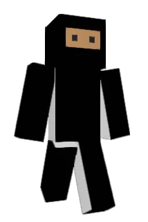 250Brickbuilder Minecraft avatar full body