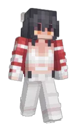 ship gray and bon jour Minecraft skin — Slim model — first worn by HeiYaYou