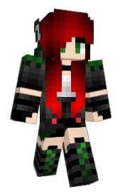 Skin preview