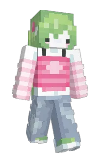 Front of Minecraft skin