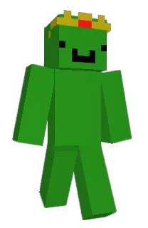 Front of wemmbs's skin