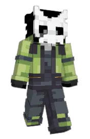 Skin preview