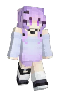 Front of Swishbue's skin