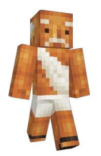 Gandhoo's Minecraft skin