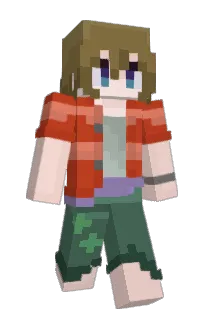 Front of Karboomi's skin