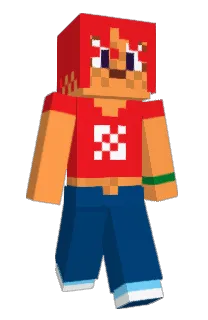 Front of isnet's skin