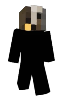 Front of zervation's skin