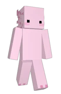 Front of vltt's skin